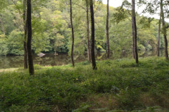 IMG_20230812_122840