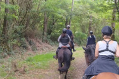IMG_20230812_152948