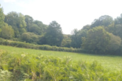 IMG_20230814_113026
