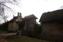 DSCN7642