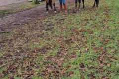 IMG-20231210-WA0010