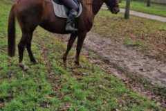 IMG-20231210-WA0026