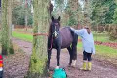 IMG-20231210-WA0038