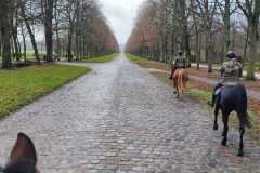 IMG-20231210-WA0043