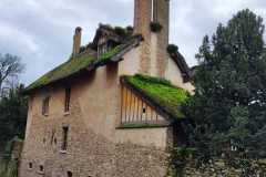 IMG-20231210-WA0049