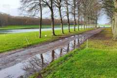 IMG-20231210-WA0064