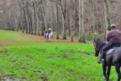 IMG-20231210-WA0078