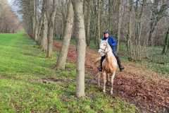 IMG-20231210-WA0080