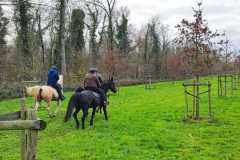 IMG-20231210-WA0081