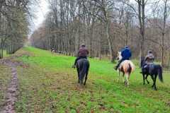 IMG-20231210-WA0083