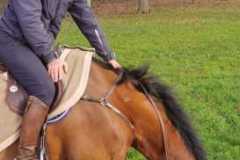 IMG-20231210-WA0174