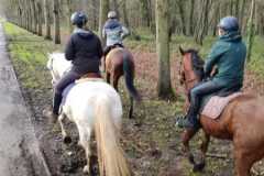 IMG-20231210-WA0195