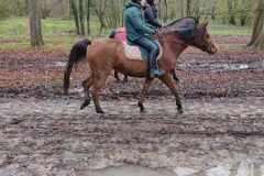 IMG-20231210-WA0208