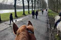 IMG-20231210-WA0215