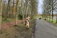 IMG-20231210-WA0216