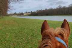 IMG-20231210-WA0220