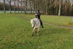 IMG-20231210-WA0223