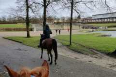 IMG-20231210-WA0226