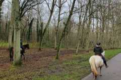 IMG-20231210-WA0231