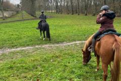 IMG-20231210-WA0246