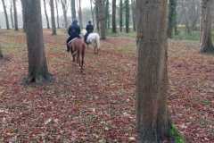 IMG-20231210-WA0252