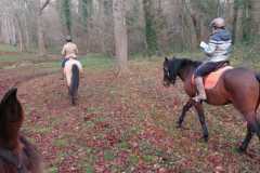 IMG-20231210-WA0253