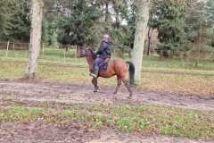 IMG-20231210-WA0268