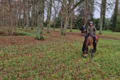 IMG-20231210-WA0271
