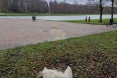 IMG-20231210-WA0272