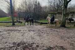 IMG-20231210-WA0294
