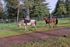 IMG-20231210-WA0295