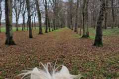 IMG-20231210-WA0296
