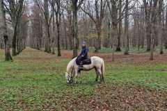 IMG-20231210-WA0321