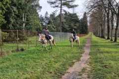 IMG-20231210-WA0325