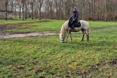IMG-20231210-WA0334
