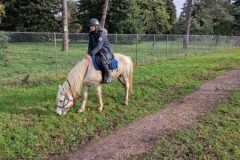 IMG-20231210-WA0336