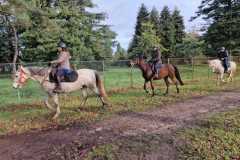 IMG-20231210-WA0339