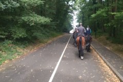 IMG_20230702_104220