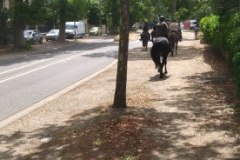 IMG_20230702_123931