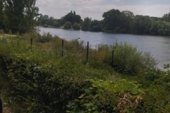 IMG_20230702_124209