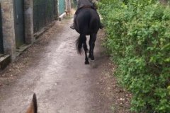 IMG_20230702_125216