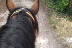 IMG_20230702_125250