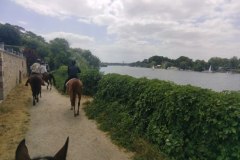 IMG_20230702_125541
