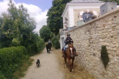 IMG_20230702_125547