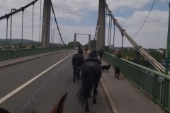IMG_20230702_130707