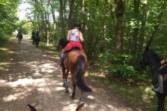 IMG_20230702_163720