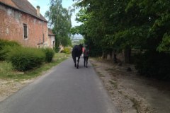 IMG_20230702_172438