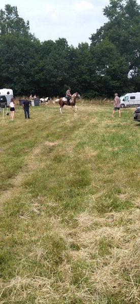 IMG_20230616_164449