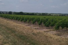 IMG_20230616_161354