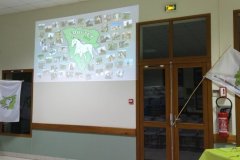 IMG_20231124_184808